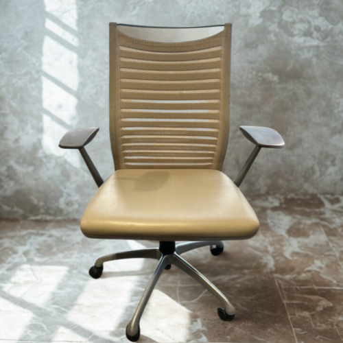 Source International Mesh-back Ergonomic Chair -Tan
